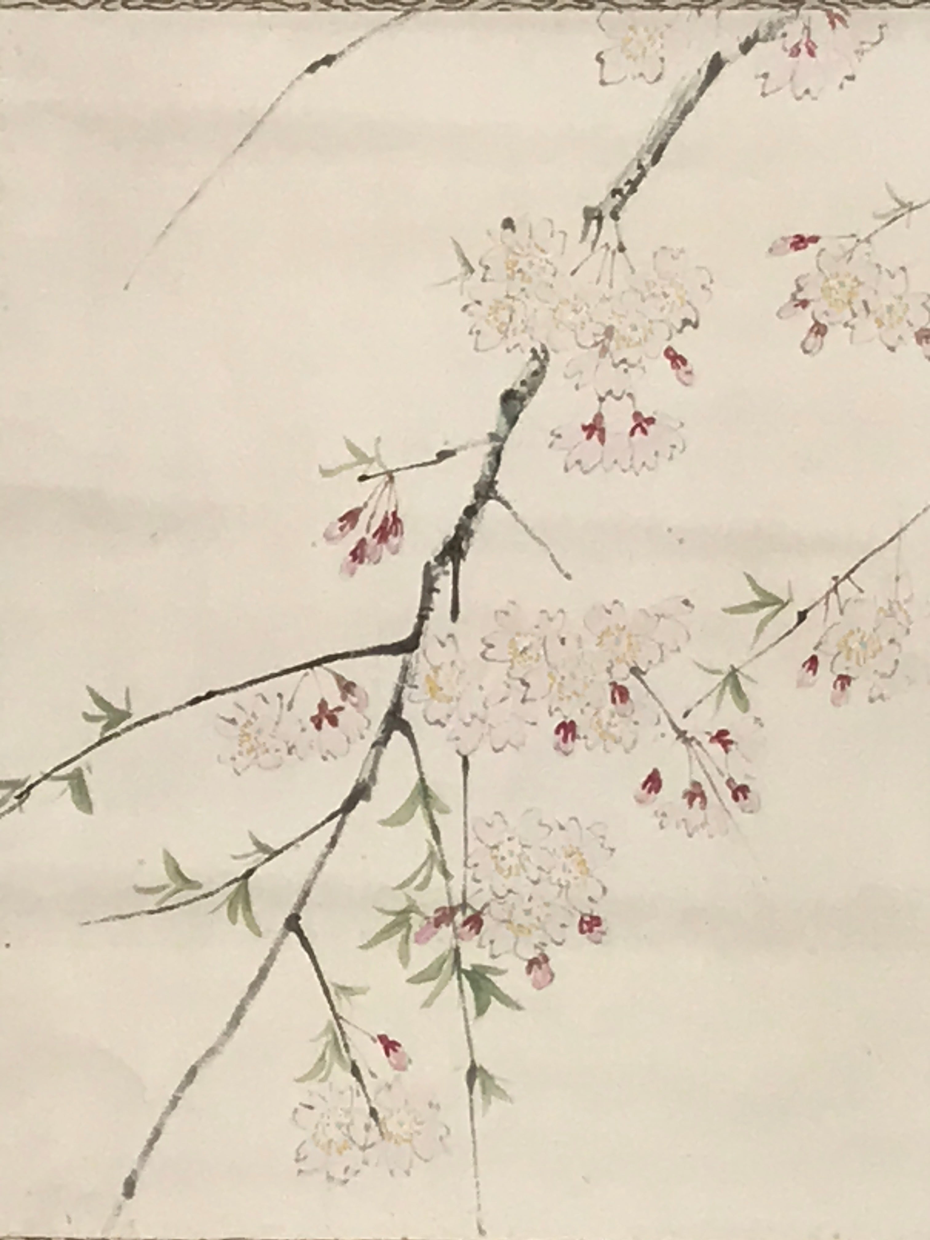 Japanese Hanging Scroll Kakejiku Vtg Sakura Cherry Blossoms Flower Color KJ230-AD - Scroll-chidorivintage.com