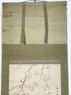 Japanese Hanging Scroll Kakejiku Vtg Sakura Cherry Blossoms Flower Color KJ230-AD - Scroll-chidorivintage.com