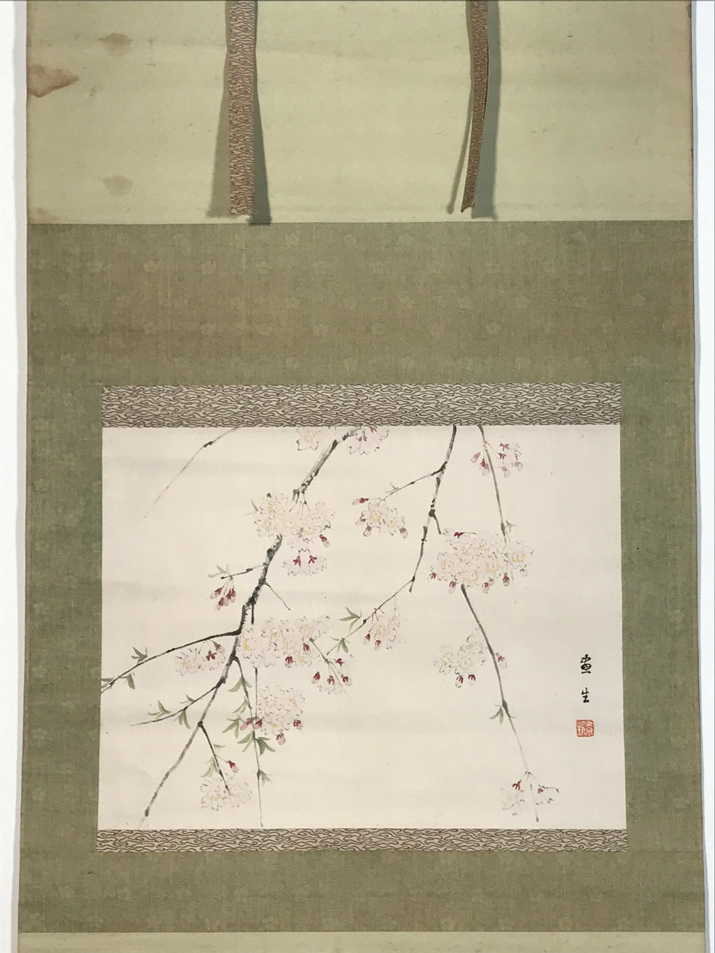 Japanese Hanging Scroll Kakejiku Vtg Sakura Cherry Blossoms Flower Color KJ230-AD - Scroll-chidorivintage.com