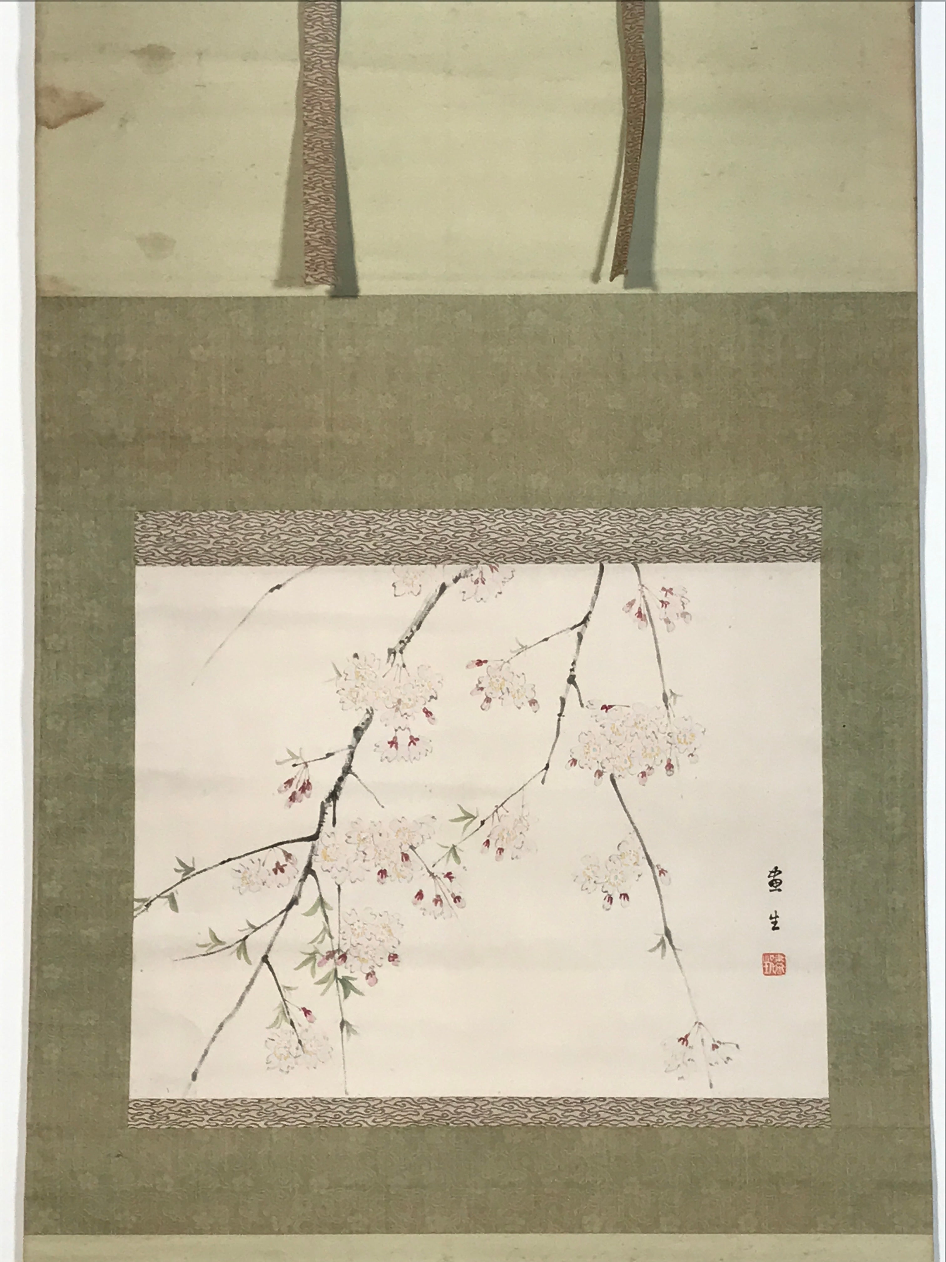 Japanese Hanging Scroll Kakejiku Vtg Sakura Cherry Blossoms Flower Color KJ230-AD - Scroll-chidorivintage.com