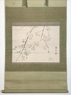 Japanese Hanging Scroll Kakejiku Vtg Sakura Cherry Blossoms Flower Color KJ230-AD - Scroll-chidorivintage.com
