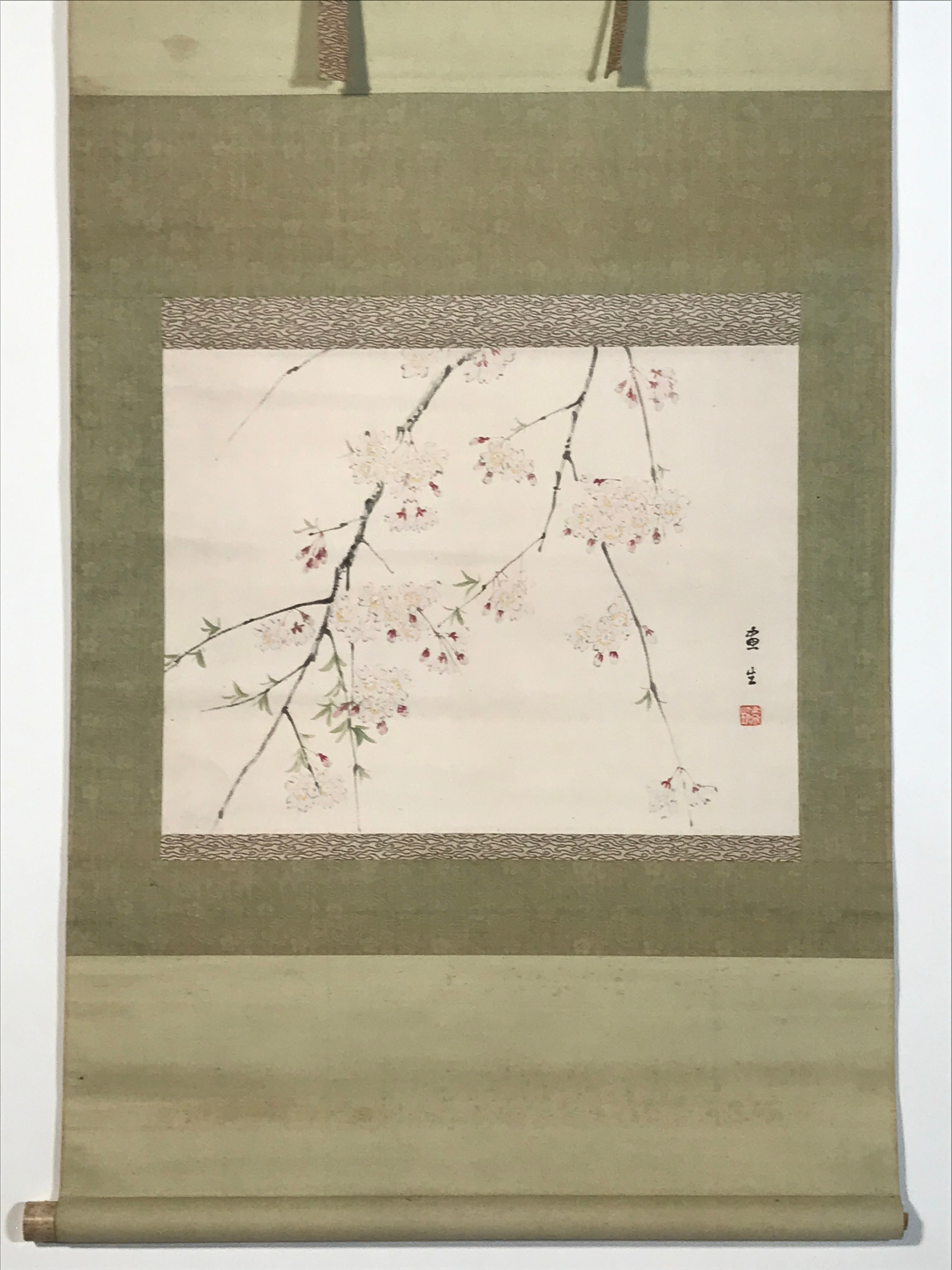 Japanese Hanging Scroll Kakejiku Vtg Sakura Cherry Blossoms Flower Color KJ230-AD - Scroll-chidorivintage.com