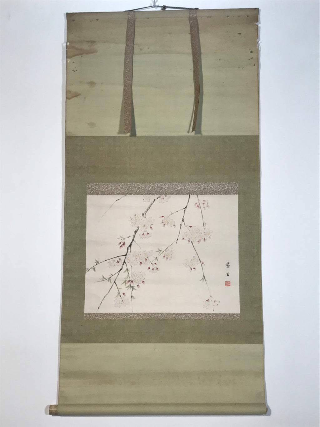 Japanese Hanging Scroll Kakejiku Vtg Sakura Cherry Blossoms Flower Color KJ230-AD - Scroll-chidorivintage.com