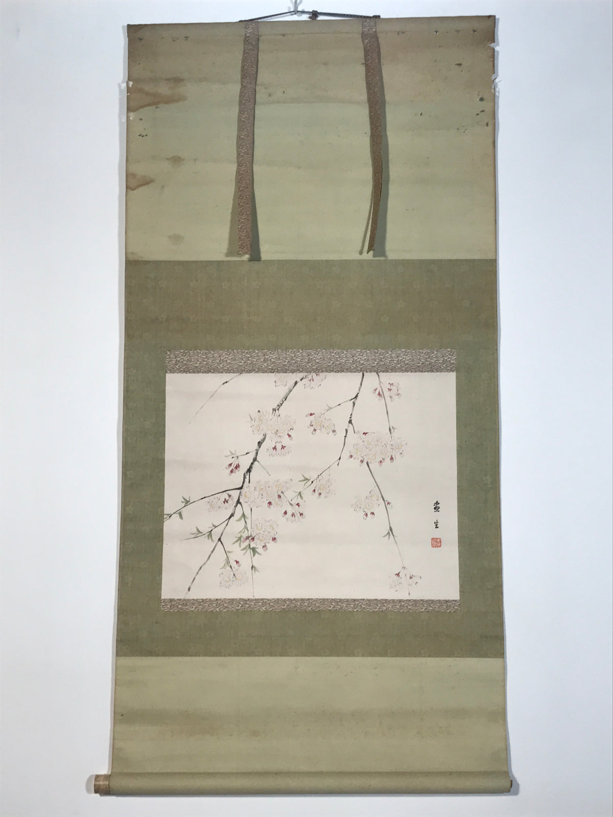 Japanese Hanging Scroll Kakejiku Vtg Sakura Cherry Blossoms Flower Color KJ230-AD - Scroll-chidorivintage.com