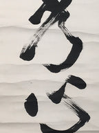 Japanese Hanging Scroll Vtg Kakejiku Zen Words Idiom Calligraphy Black Ink KJ243-AD - Scroll-chidorivintage.com