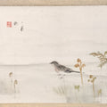Japanese Hanging Scroll Kakejiku Vtg Bird Wagtail Plants Fern Color Green KJ245-AD - Scroll-chidorivintage.com