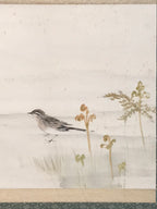 Japanese Hanging Scroll Kakejiku Vtg Bird Wagtail Plants Fern Color Green KJ245-AD - Scroll-chidorivintage.com