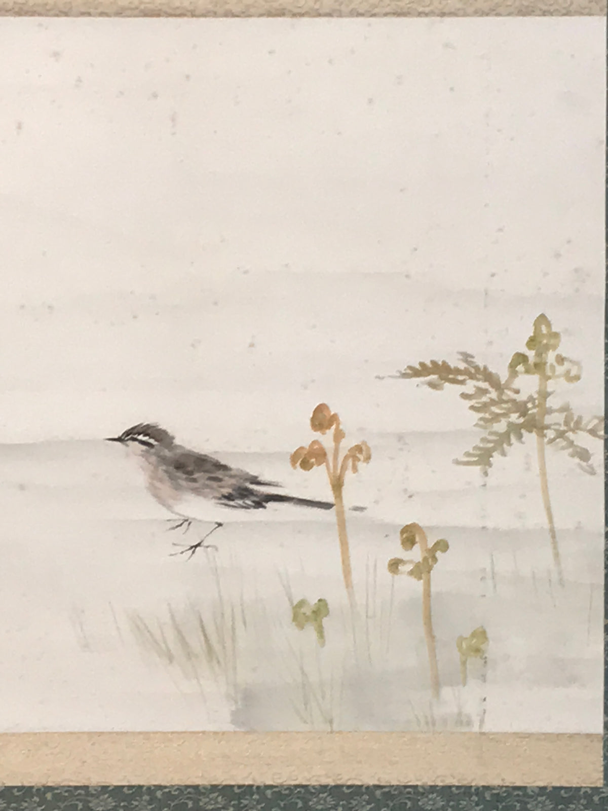 Japanese Hanging Scroll Kakejiku Vtg Bird Wagtail Plants Fern Color Green KJ245-AD - Scroll-chidorivintage.com