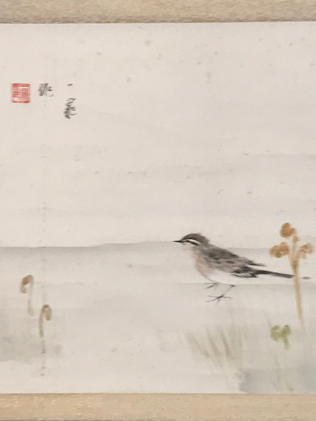 Japanese Hanging Scroll Kakejiku Vtg Bird Wagtail Plants Fern Color Green KJ245-AD - Scroll-chidorivintage.com