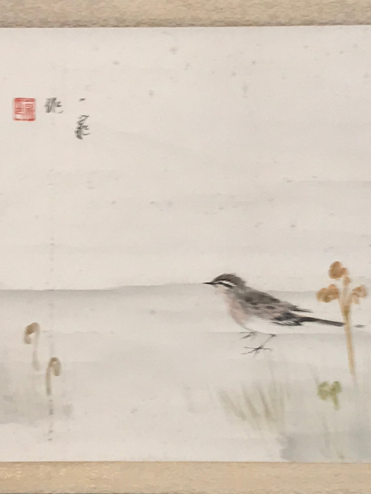 Japanese Hanging Scroll Kakejiku Vtg Bird Wagtail Plants Fern Color Green KJ245-AD - Scroll-chidorivintage.com