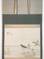 Japanese Hanging Scroll Kakejiku Vtg Bird Wagtail Plants Fern Color Green KJ245-AD - Scroll-chidorivintage.com