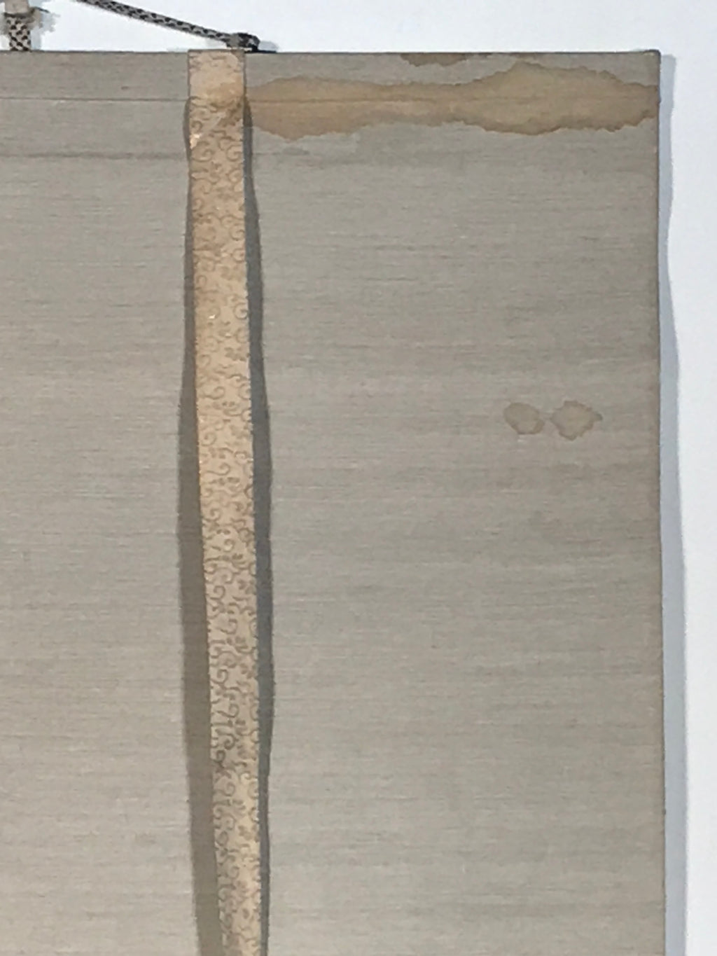 Japanese Hanging Scroll Kakejiku Vtg Bird Wagtail Plants Fern Color Green KJ245-AD - Scroll-chidorivintage.com