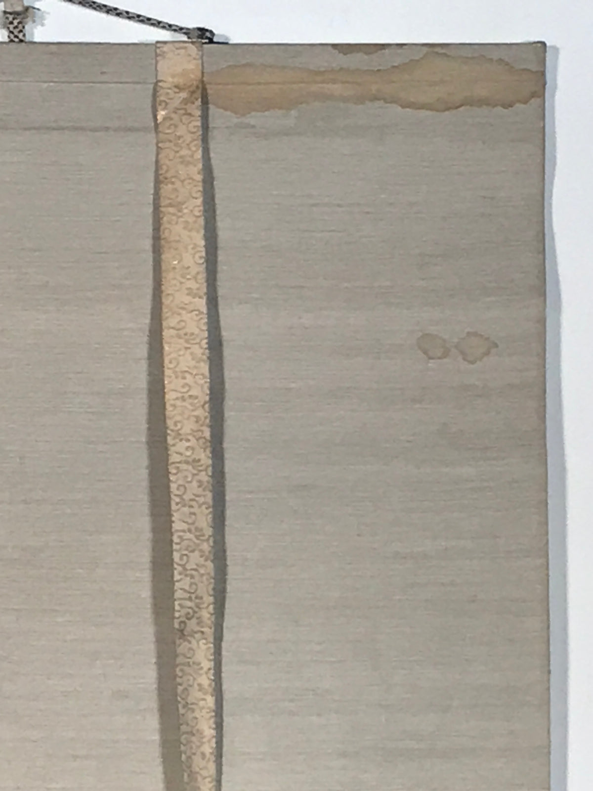 Japanese Hanging Scroll Kakejiku Vtg Bird Wagtail Plants Fern Color Green KJ245-AD - Scroll-chidorivintage.com
