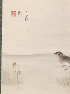 Japanese Hanging Scroll Kakejiku Vtg Bird Wagtail Plants Fern Color Green KJ245-AD - Scroll-chidorivintage.com