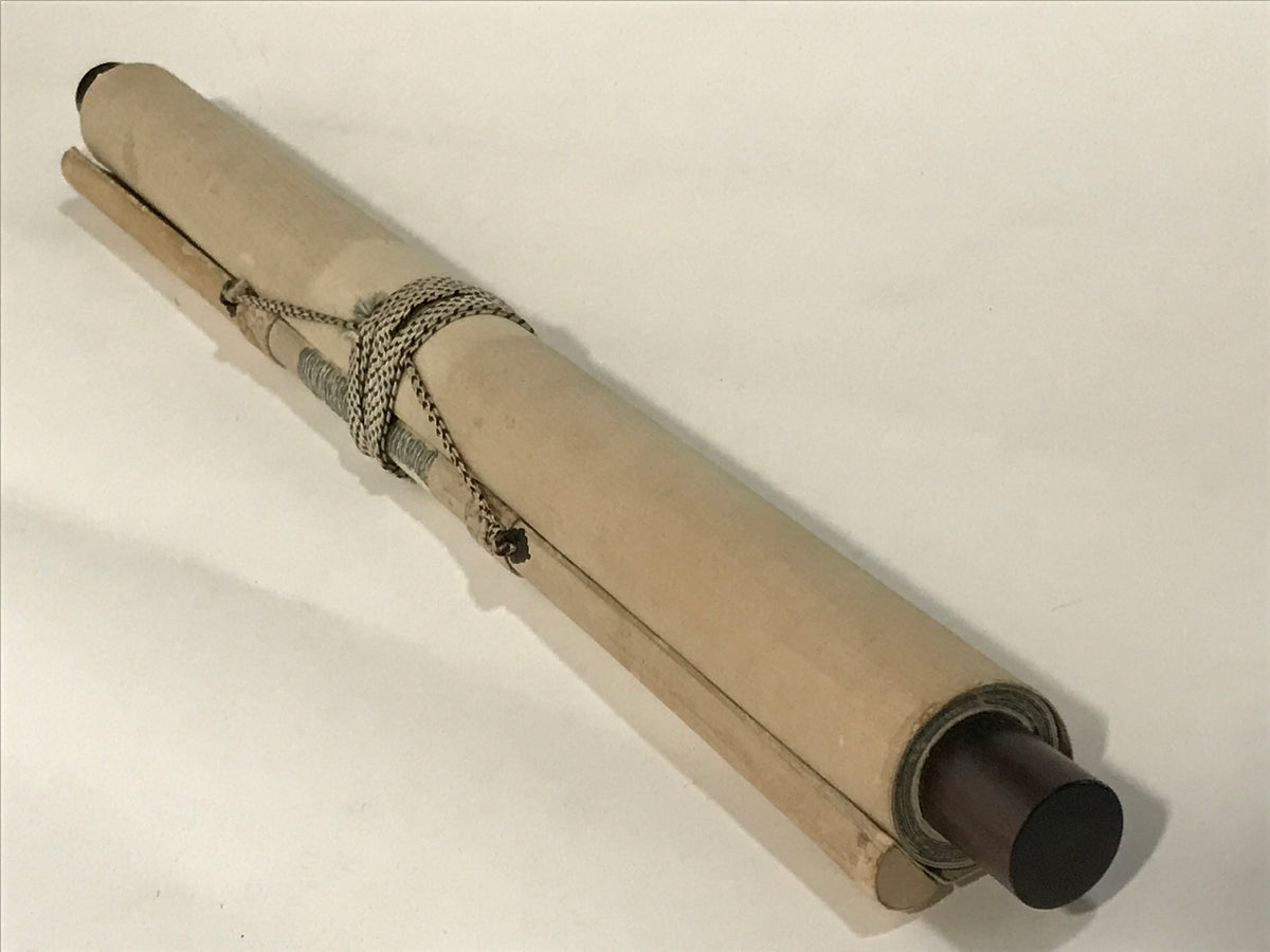 Japanese Hanging Scroll Kakejiku Vtg Bird Wagtail Plants Fern Color Green KJ245-AD - Scroll-chidorivintage.com