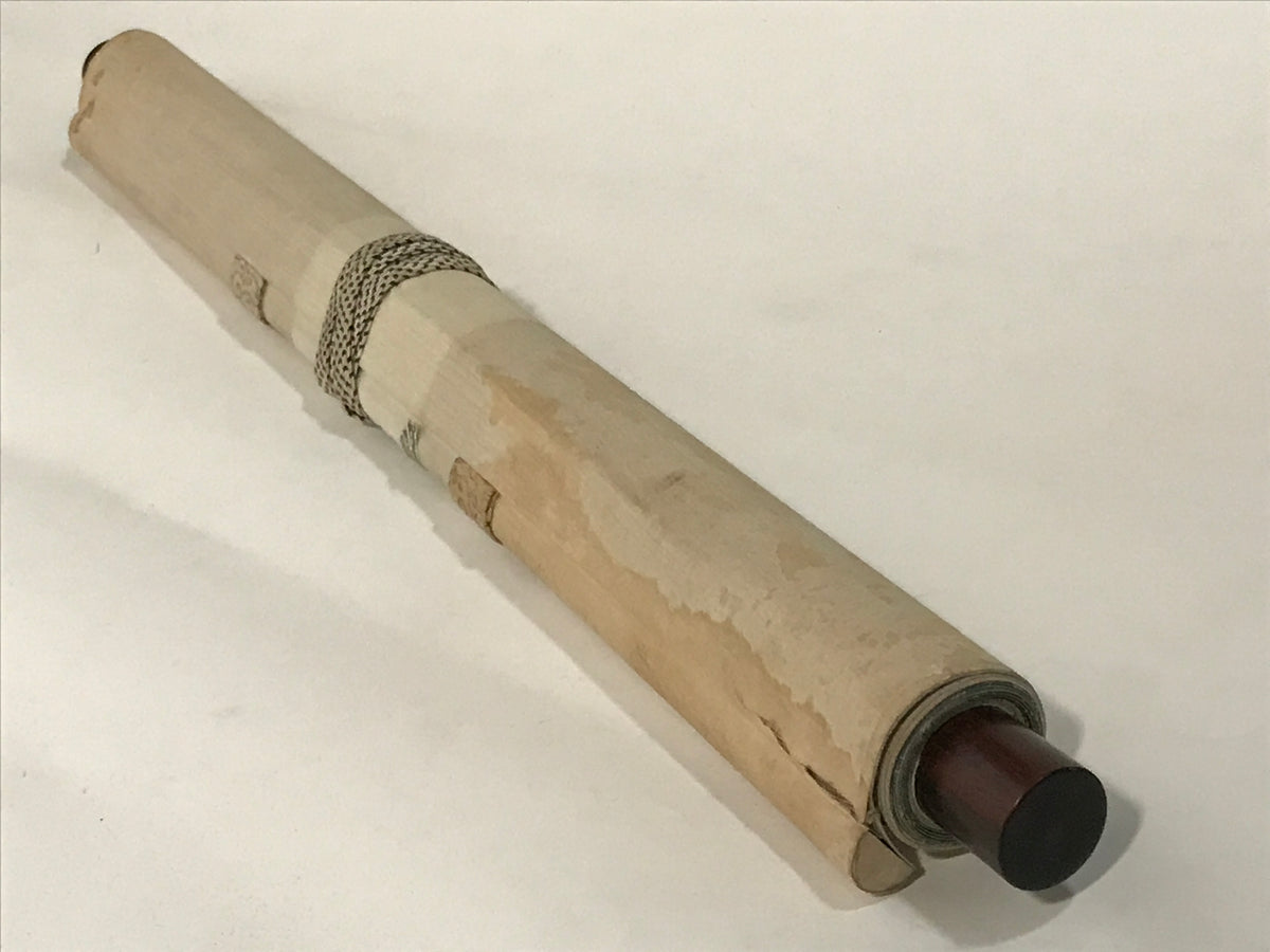 Japanese Hanging Scroll Kakejiku Vtg Bird Wagtail Plants Fern Color Green KJ245-AD - Scroll-chidorivintage.com