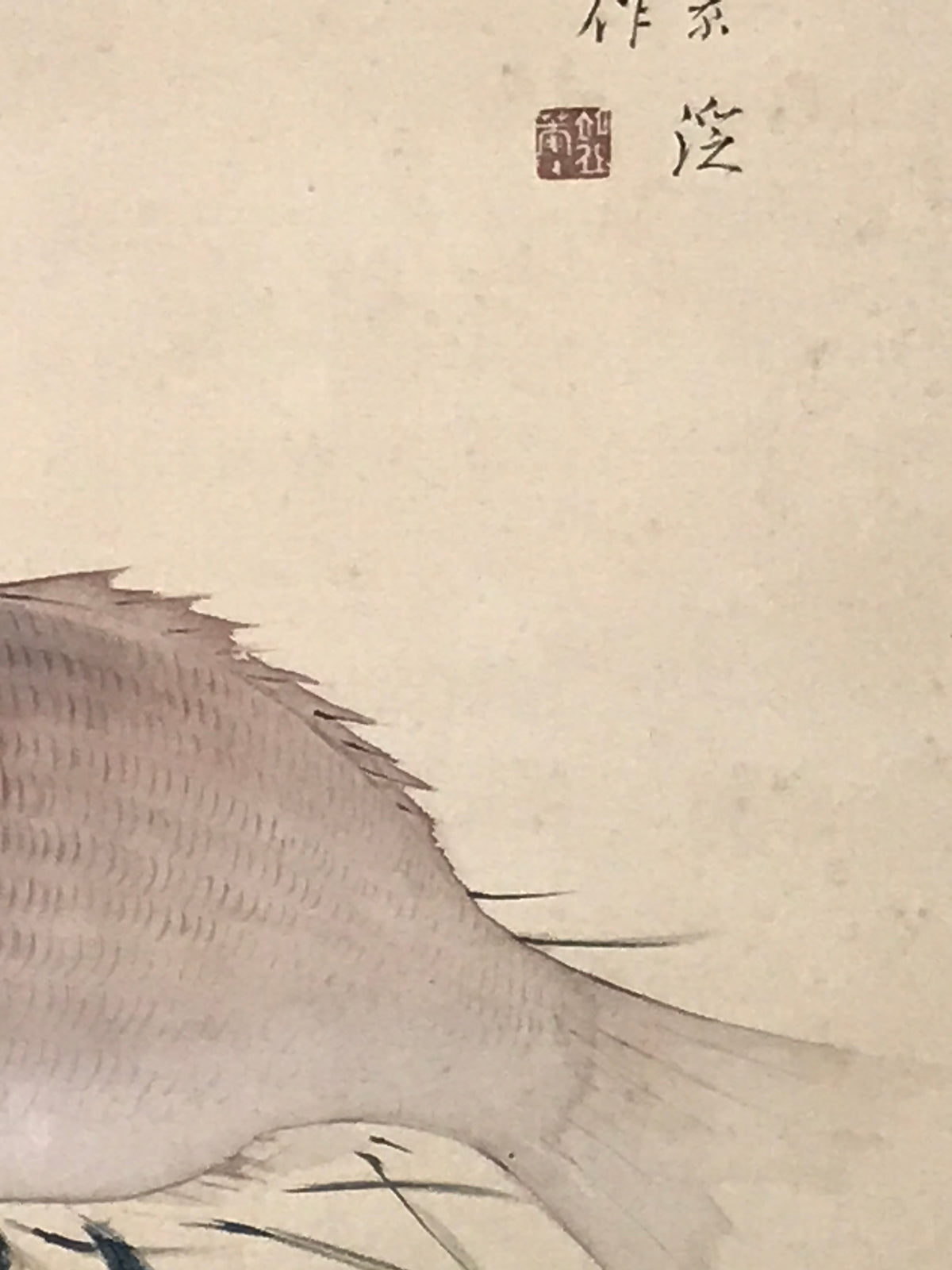 Japanese Hanging Scroll Kakejiku Vtg Sea Bream Tai Realistic Style Color KJ246-AD - Scroll-chidorivintage.com