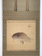Japanese Hanging Scroll Kakejiku Vtg Sea Bream Tai Realistic Style Color KJ246-AD - Scroll-chidorivintage.com