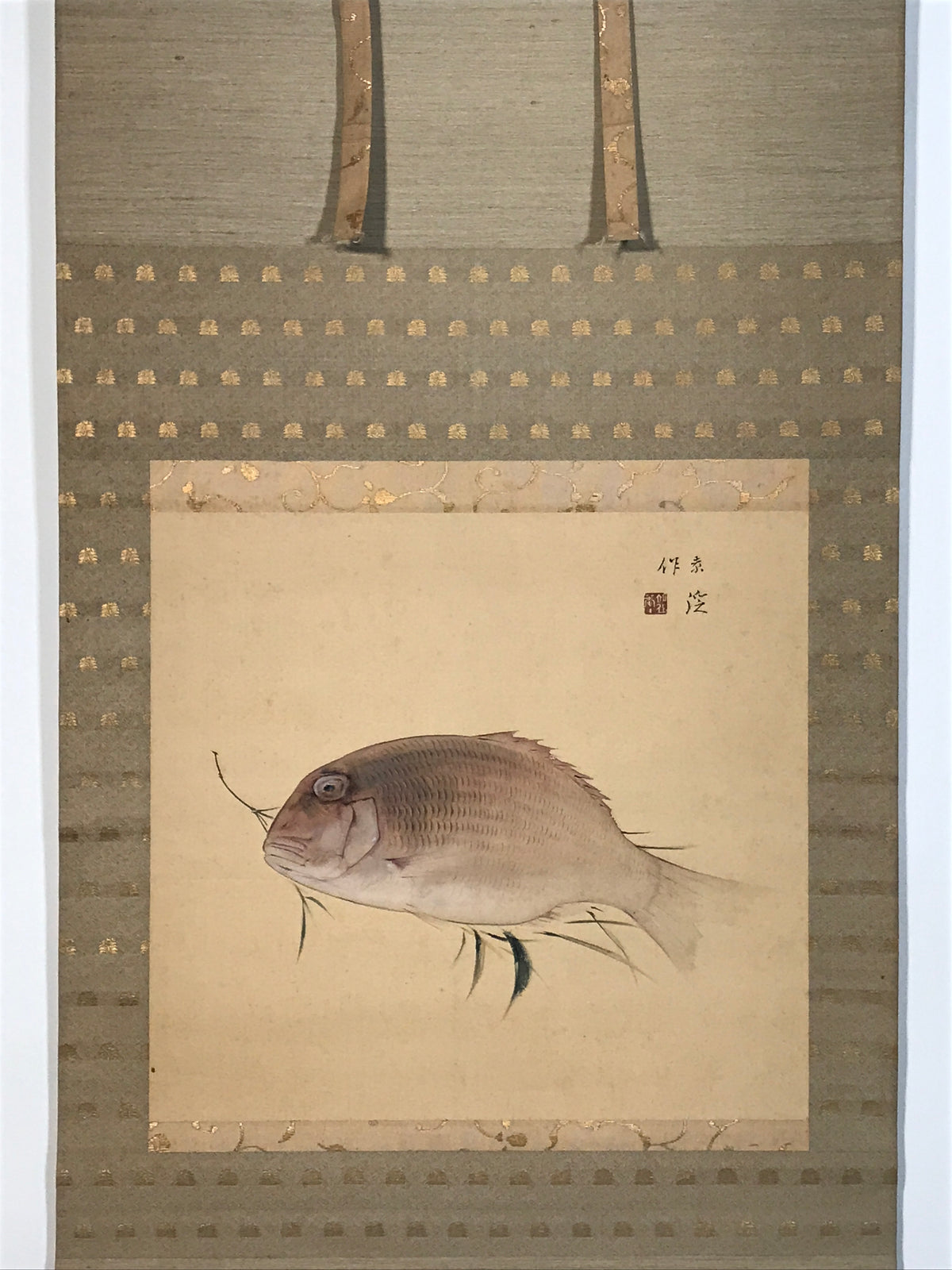 Japanese Hanging Scroll Kakejiku Vtg Sea Bream Tai Realistic Style Color KJ246-AD - Scroll-chidorivintage.com