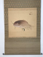 Japanese Hanging Scroll Kakejiku Vtg Sea Bream Tai Realistic Style Color KJ246-AD - Scroll-chidorivintage.com