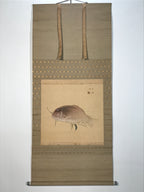 Japanese Hanging Scroll Kakejiku Vtg Sea Bream Tai Realistic Style Color KJ246-AD - Scroll-chidorivintage.com