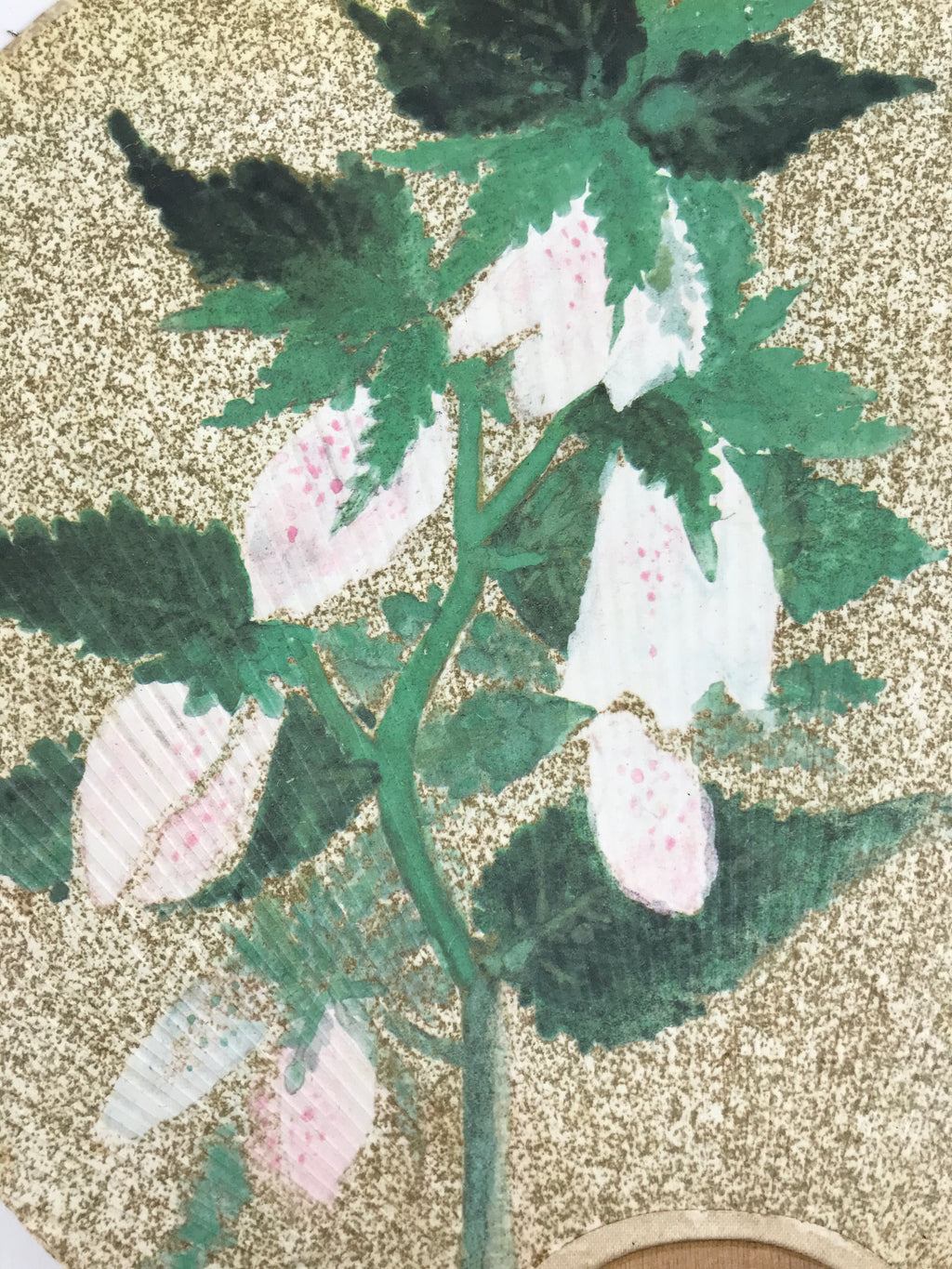 Japanese Paper Fan Large Uchiwa Vtg Wooden Handle Ogura Yuki Pink Flowers U193-AD - Fan-chidorivintage.com