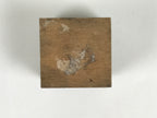 Japanese Metal Stamp Vtg Letterpress Printing Block Honorific Kanji Showa HS328-OT - Hanko-chidorivintage.com