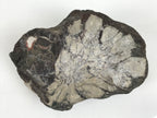 Japanese Viewing Stone Suiseki Vtg Zen Buddhist Natural Shape Gray Purple JK957-OT - Stone-chidorivintage.com