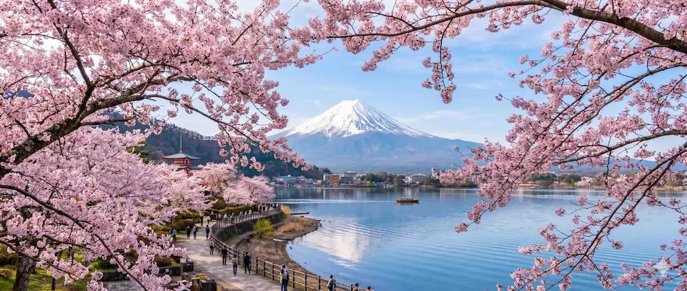 View of Mt. Fuji over a lake in Spring 