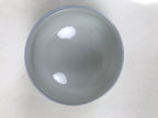 Japanese Arita Porcelain Teacup Vtg Berry Leaves Pink Blue Sencha Yunomi TC578