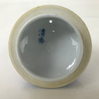 Japanese Arita Ware Ceramic Lidded Teapot Vtg Blue White Leaves W/ Strainer Y248