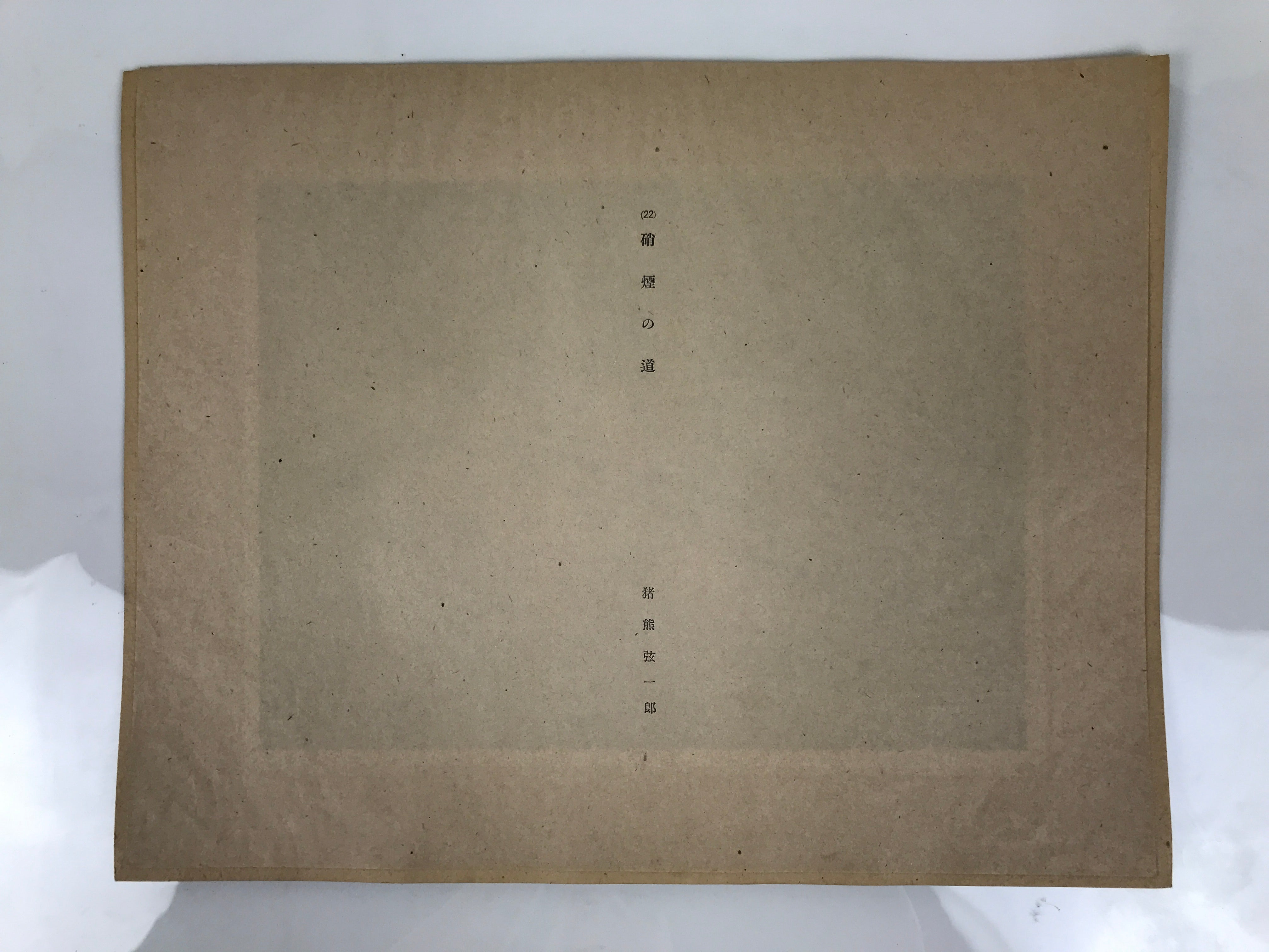 Japanese Art Print Reproduction Military Alley Smoke WWII War Paper Color FL491