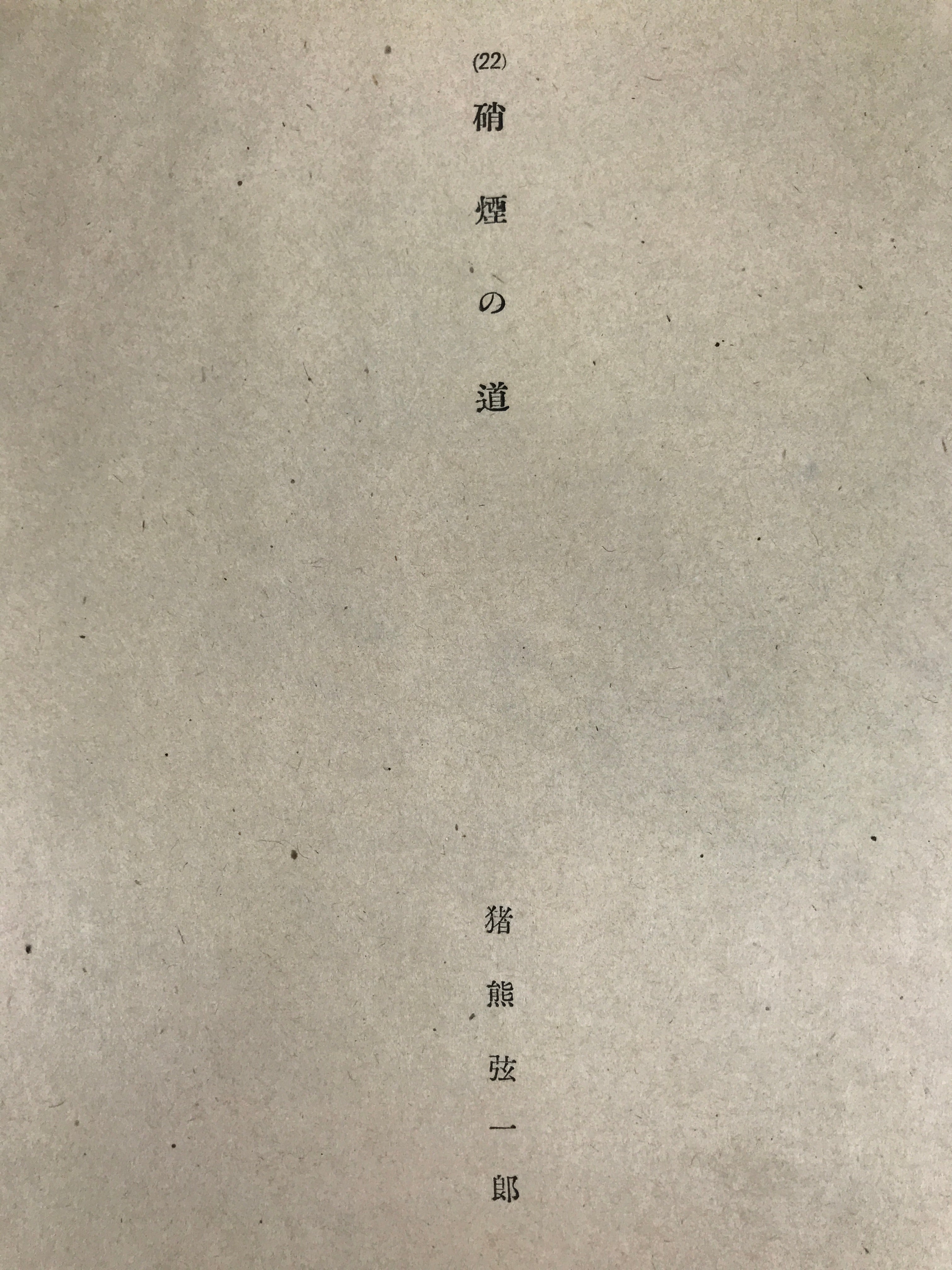 Japanese Art Print Reproduction Military Alley Smoke WWII War Paper Color FL491