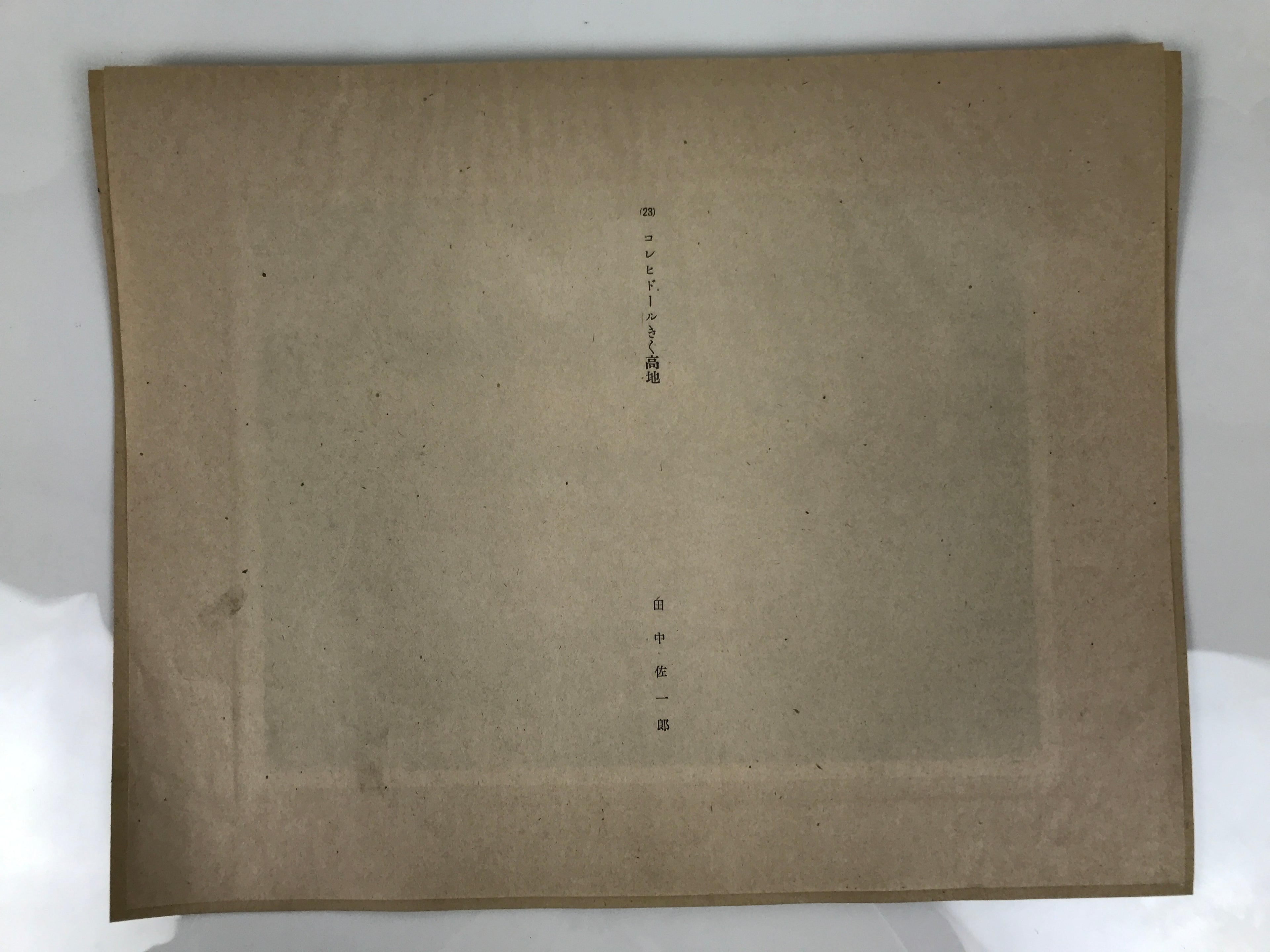Japanese Art Print Reproduction Military Corregidor Philippines WWII War FL492
