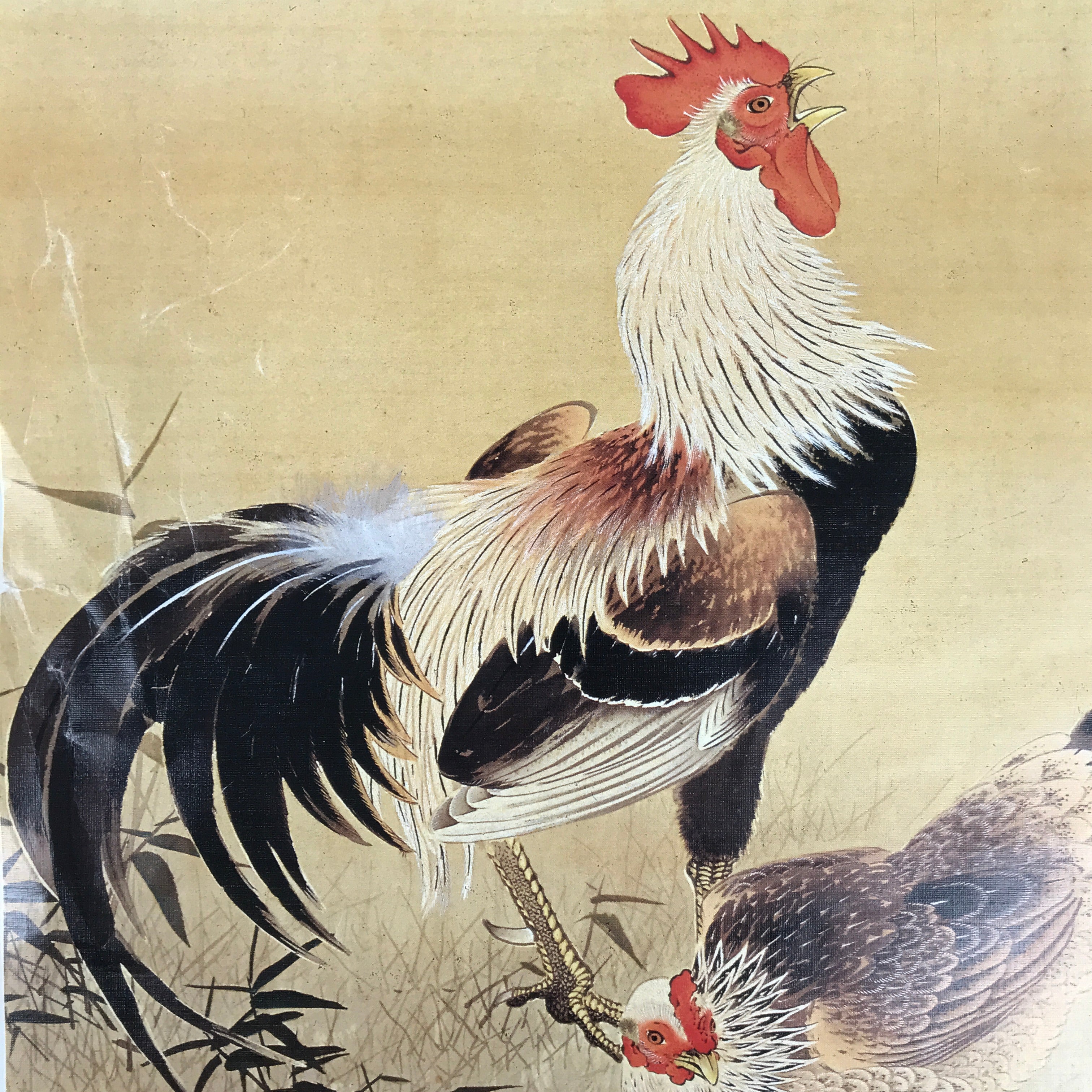 Japanese Art Print Reproduction Rooster Chicken Family Realistic Brown Red FL423