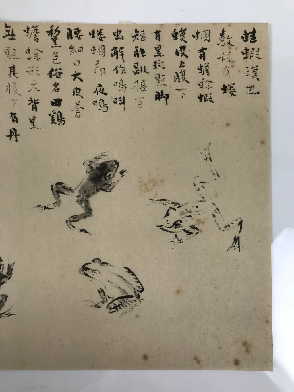 Japanese Art Print Reproduction Rosanjin Frog Calligraphy Monochrome Paper FL429