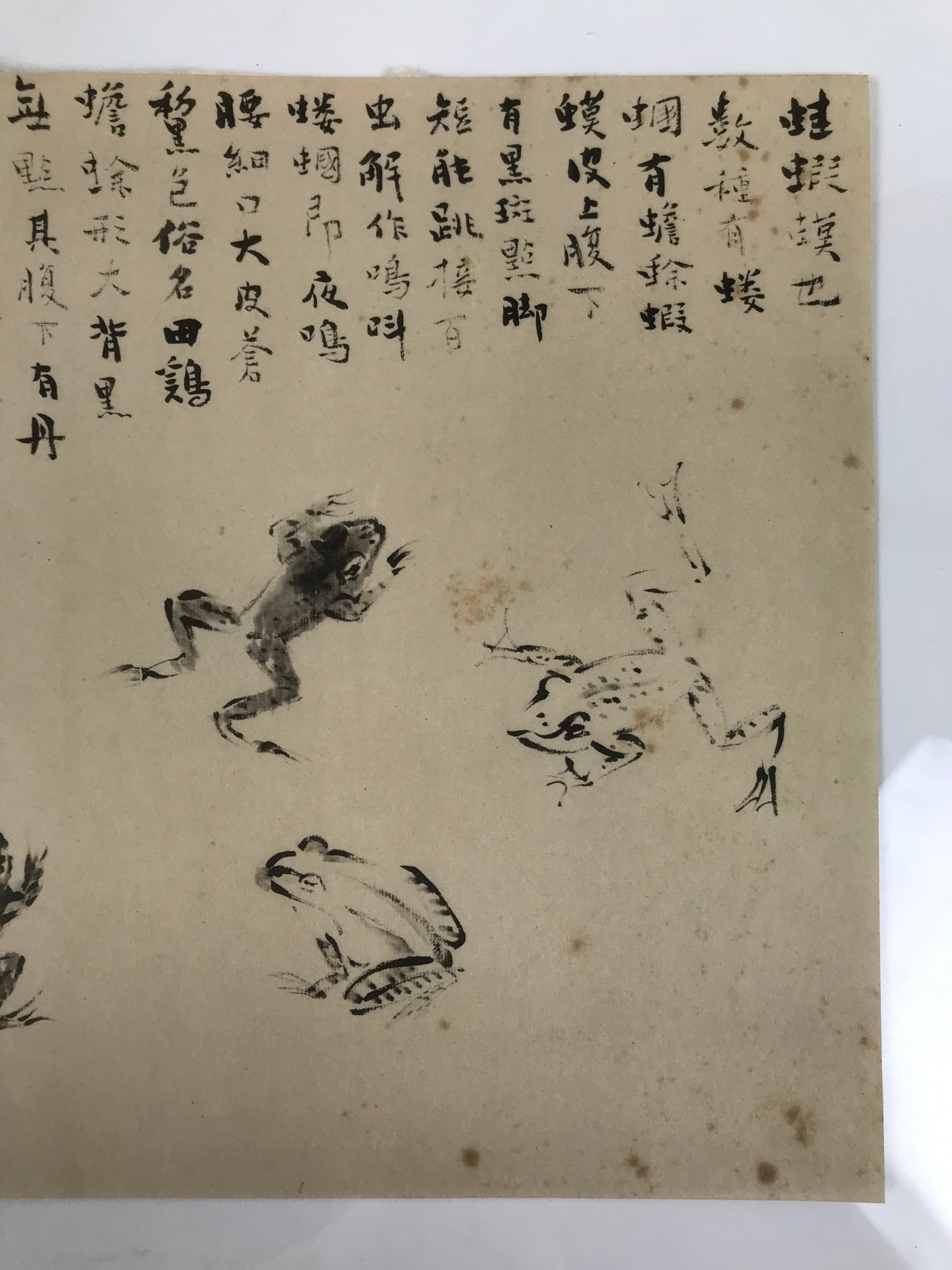 Japanese Art Print Reproduction Rosanjin Frog Calligraphy Monochrome Paper FL429