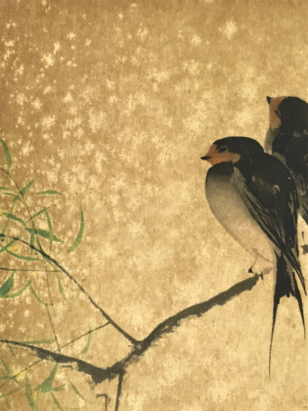 Japanese Art Print Reproduction Vtg Barn Swallows Willow Kacho Painting P358