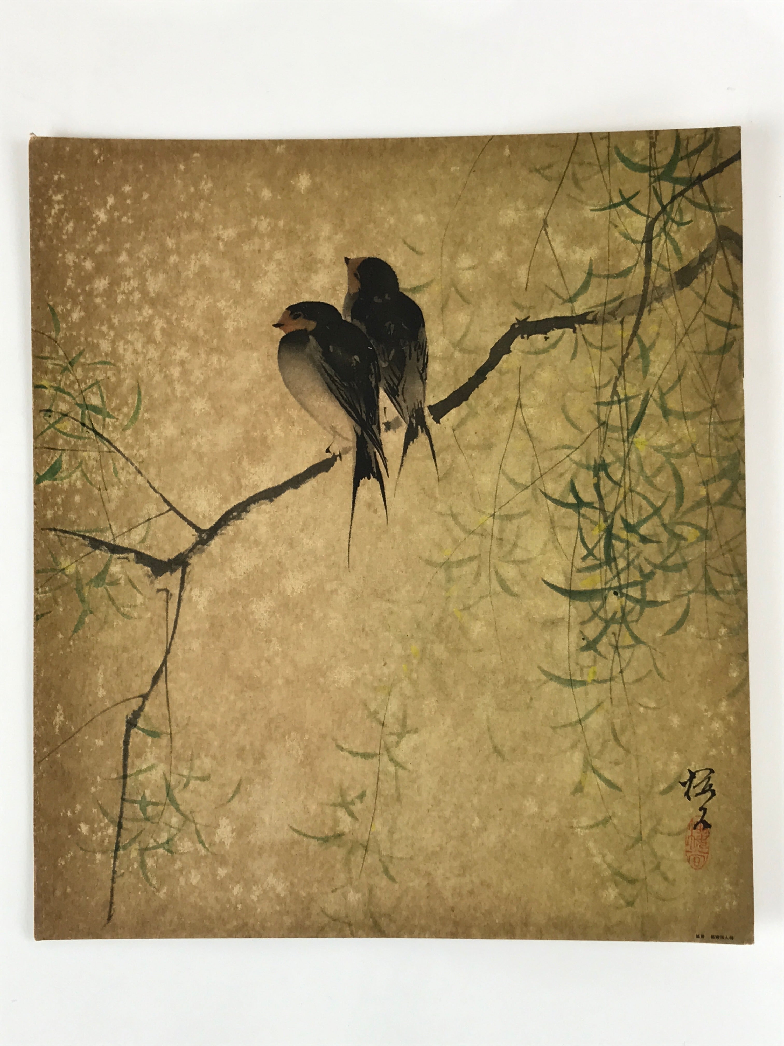 Japanese Art Print Reproduction Vtg Barn Swallows Willow Kacho Painting P358