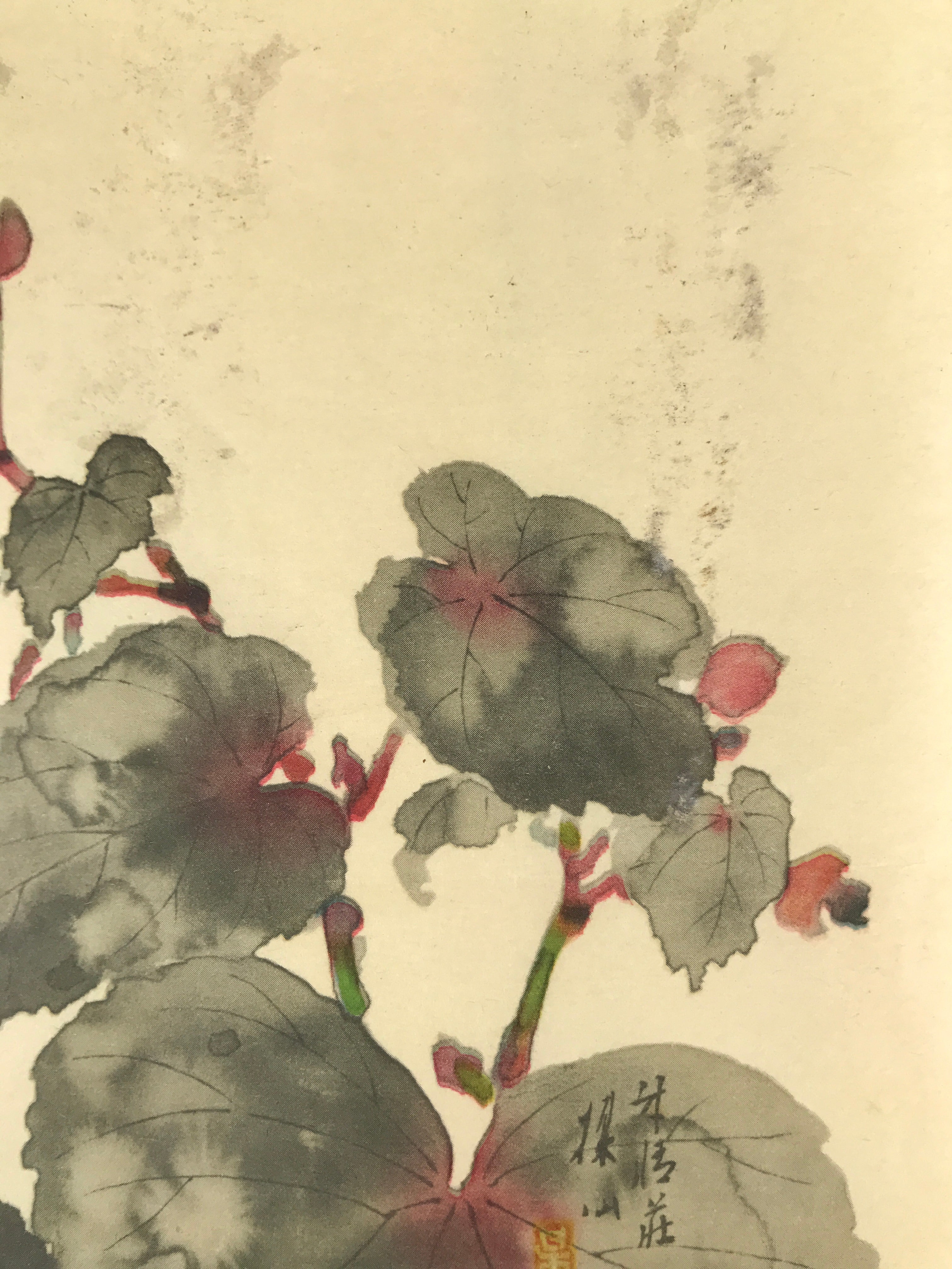 Japanese Art Print Reproduction Vtg Begonia Flowers Painting Paper P367