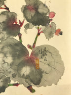 Japanese Art Print Reproduction Vtg Begonia Flowers Painting Paper P367