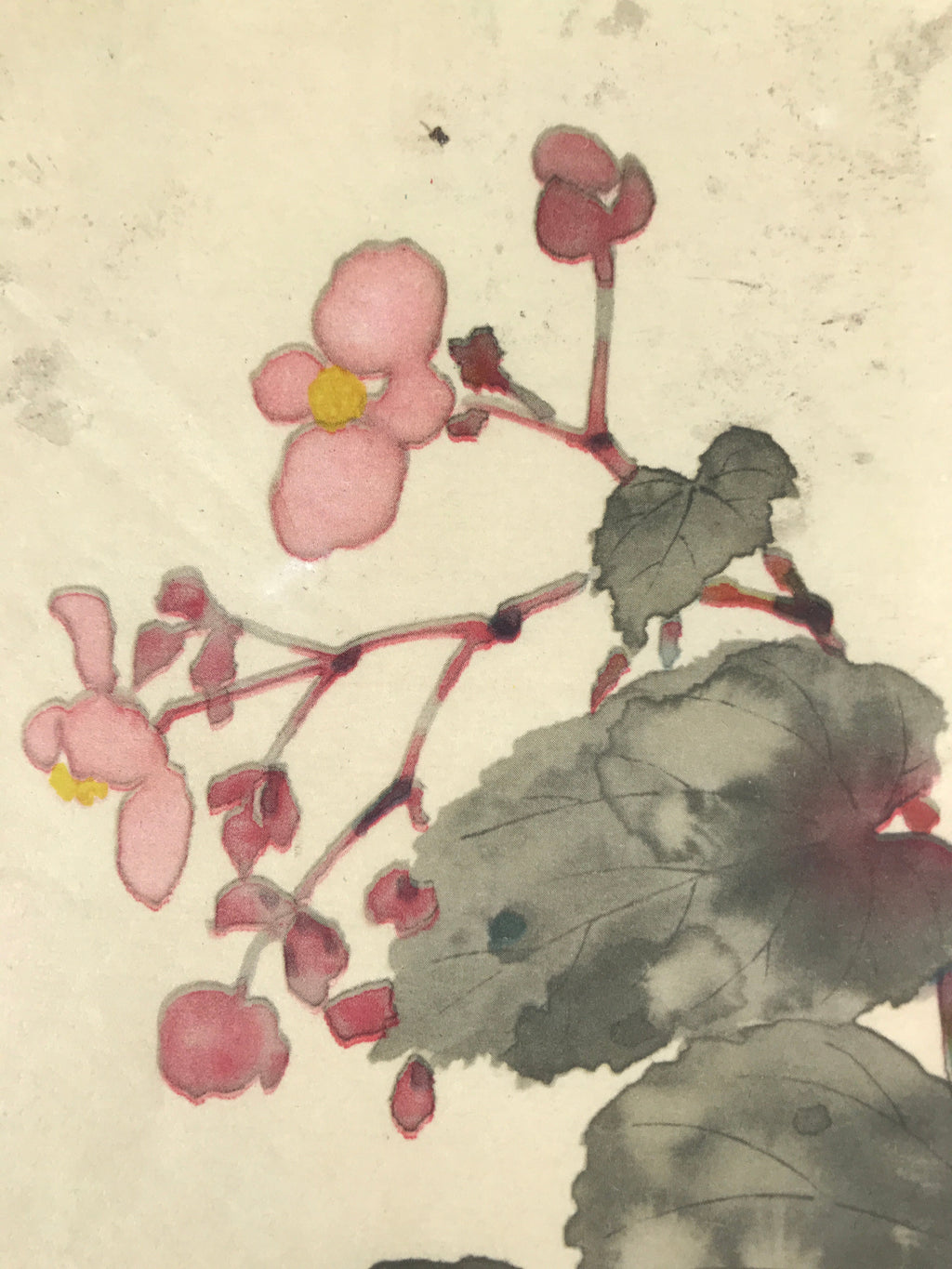 Japanese Art Print Reproduction Vtg Begonia Flowers Painting Paper P367