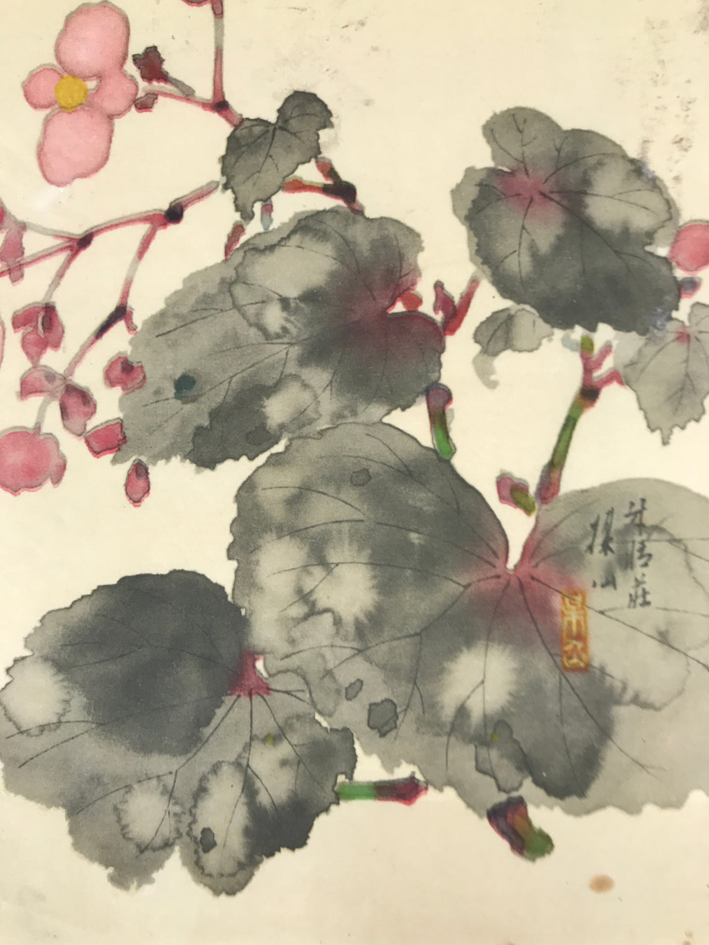 Japanese Art Print Reproduction Vtg Begonia Flowers Painting Paper P367