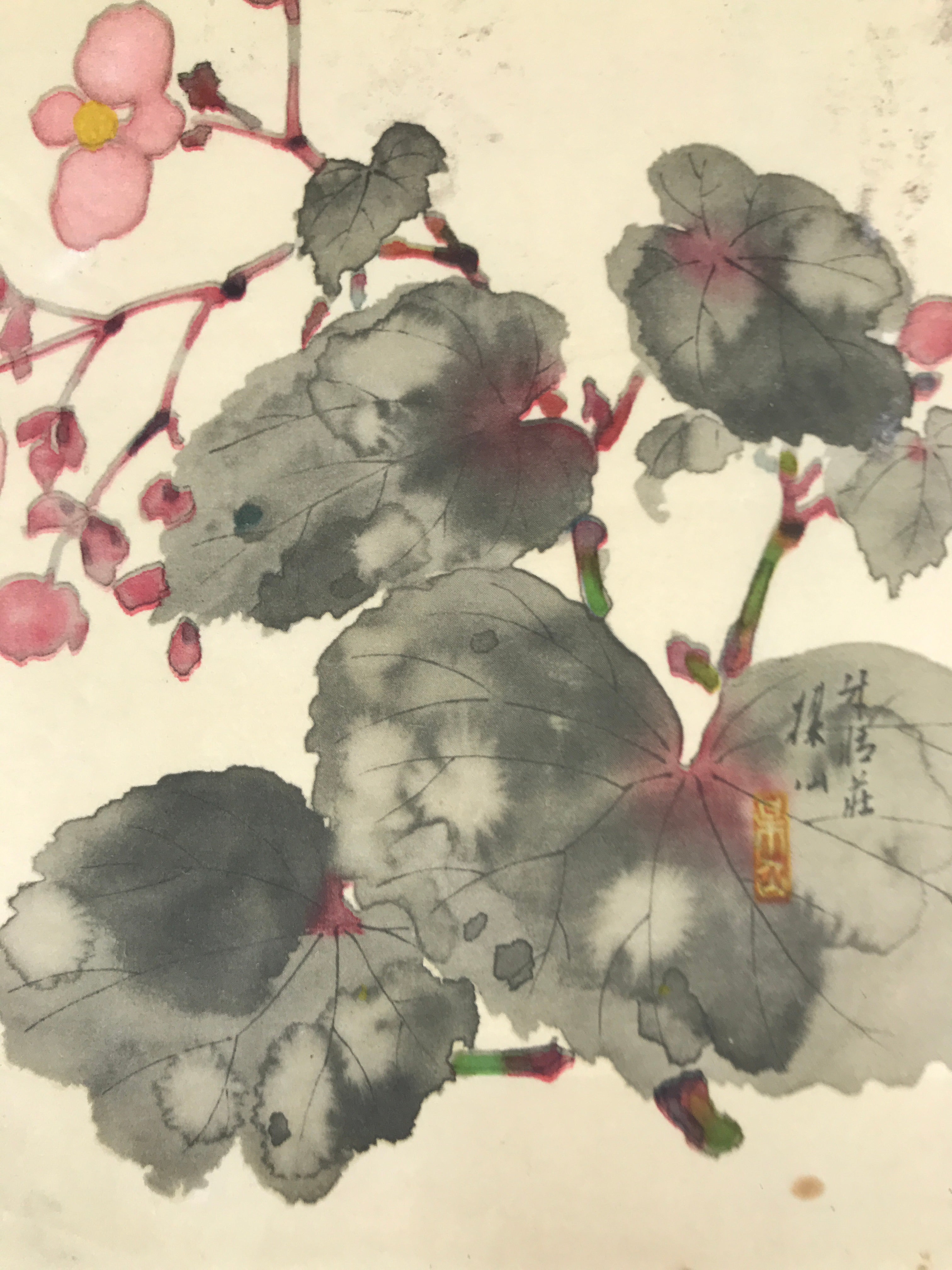 Japanese Art Print Reproduction Vtg Begonia Flowers Painting Paper P367