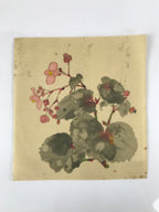 Japanese Art Print Reproduction Vtg Begonia Flowers Painting Paper P367