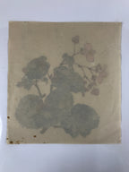 Japanese Art Print Reproduction Vtg Begonia Flowers Painting Paper P367