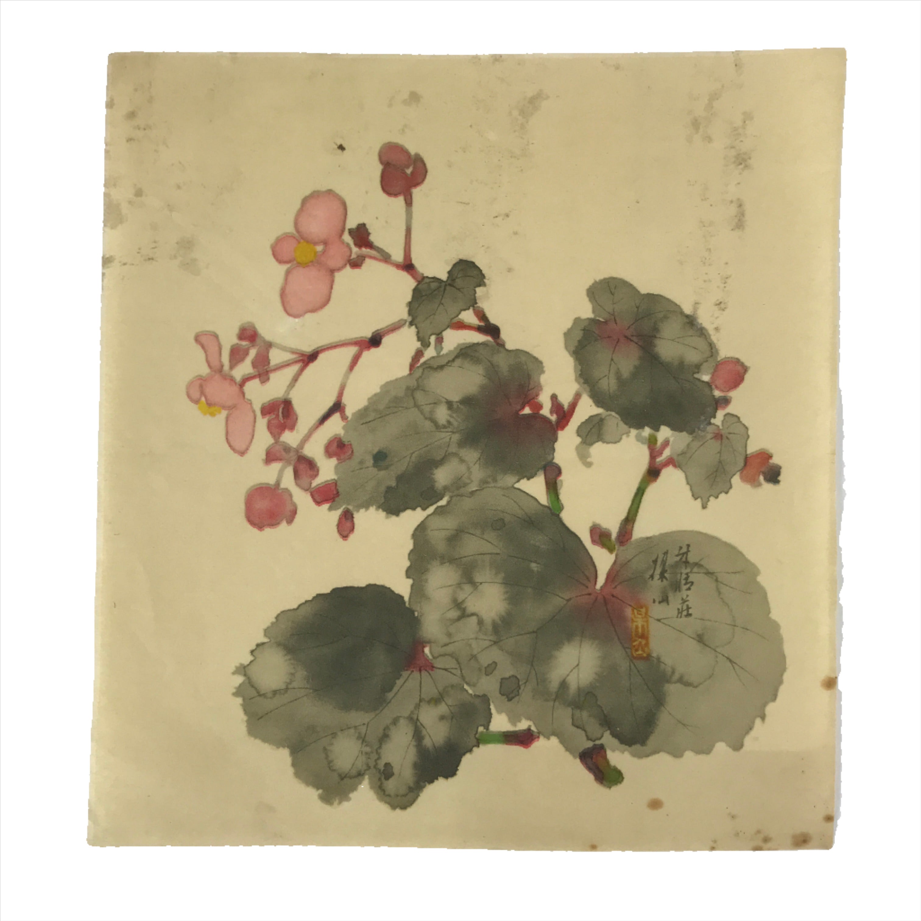 Japanese Art Print Reproduction Vtg Begonia Flowers Painting Paper P367