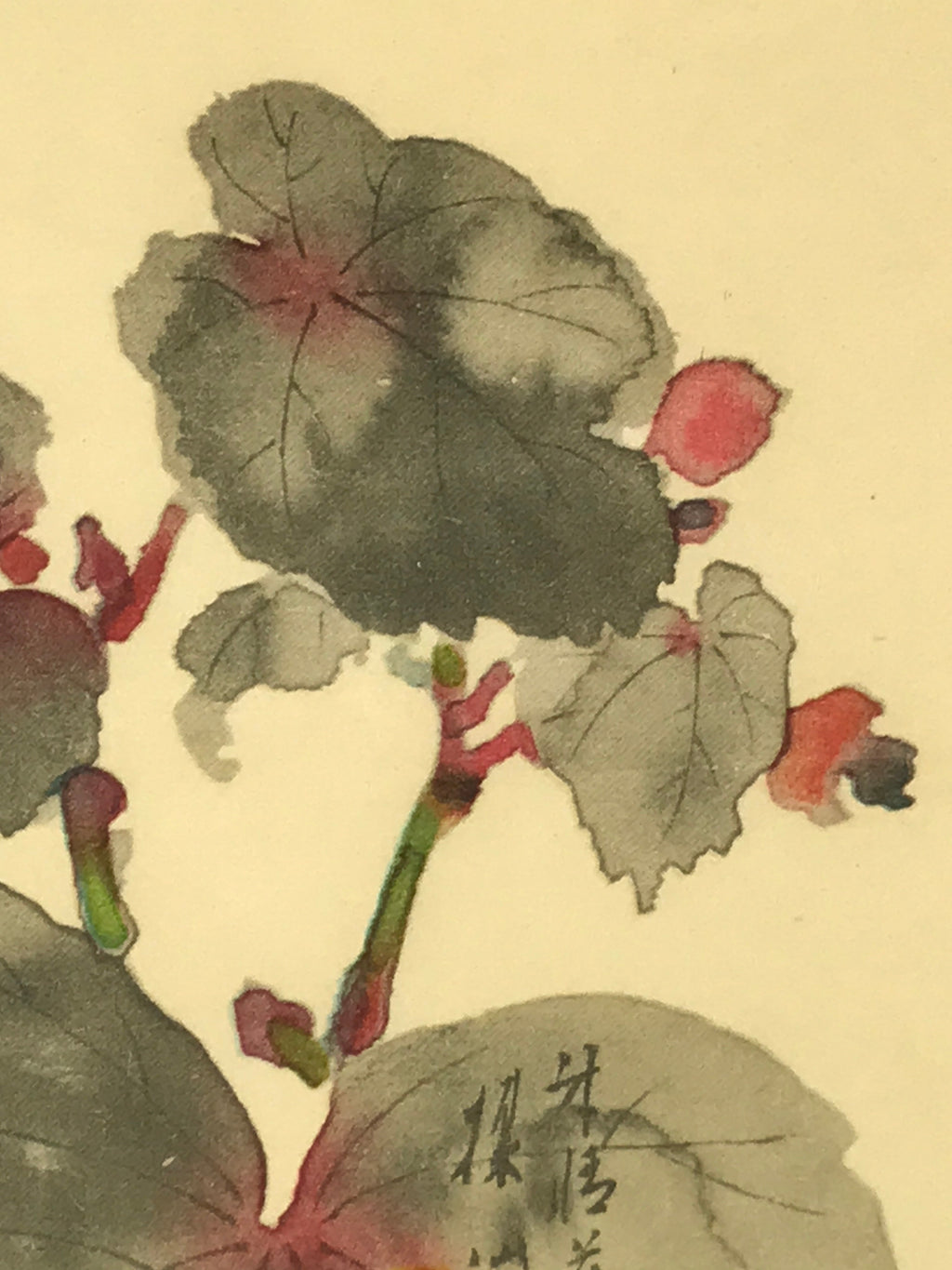 Japanese Art Print Reproduction Vtg Begonia Flowers Painting Paper P371