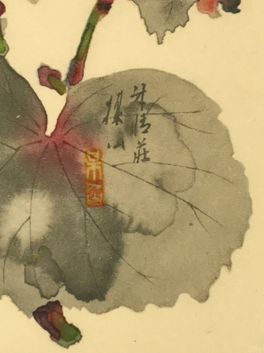Japanese Art Print Reproduction Vtg Begonia Flowers Painting Paper P371