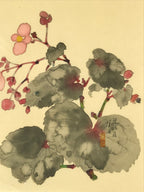 Japanese Art Print Reproduction Vtg Begonia Flowers Painting Paper P371